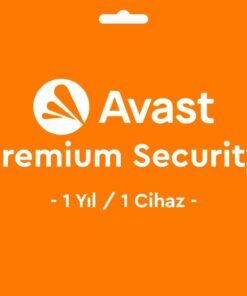 AV-AVSTPRMSCRT1Y1P-1