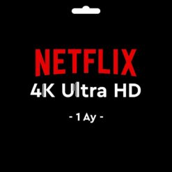 GF-NTFLX4K1A-1