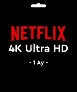 GF-NTFLX4K1A-1