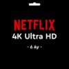 GF-NTFLX4K6A-1