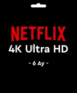 GF-NTFLX4K6A-1