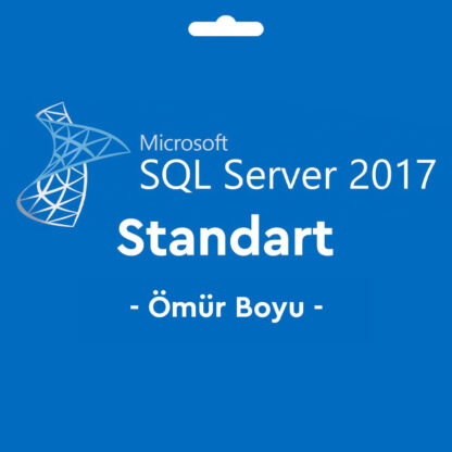 WN-MCRFSLSRV2017STRT-1
