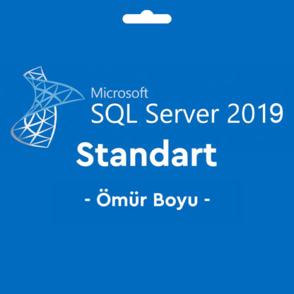WN-MCRFSLSRV2019STRT-1