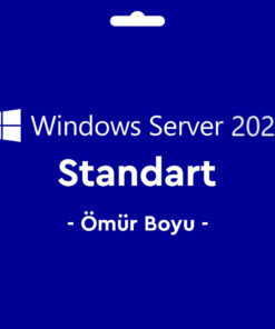 WN-WNDWSSRV2022STRT-1