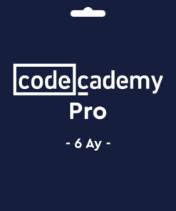 YZ-CDEDMYPR6A-1