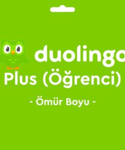 YZ-DLNGOOGRNCOB-1