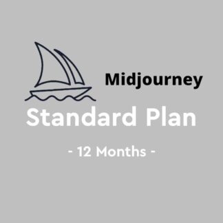 Compte Midjourney Standard Plan 12 mois