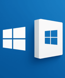Windows Lisansları